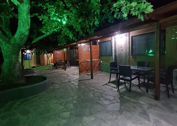 Platanes *